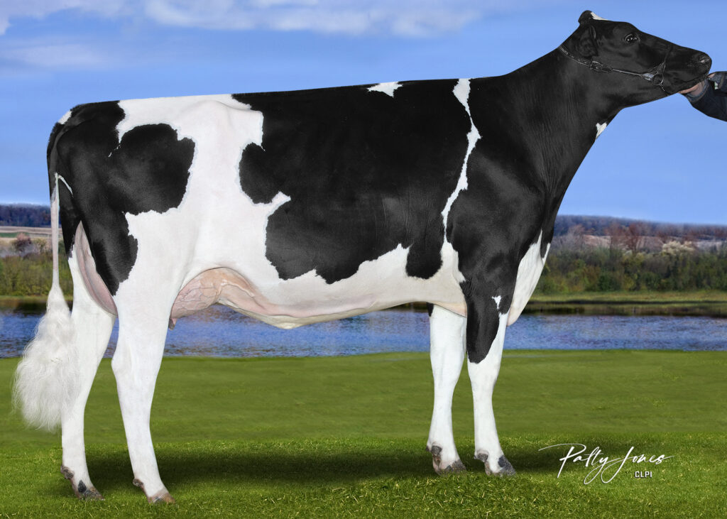 Photo of Revamp Maggie